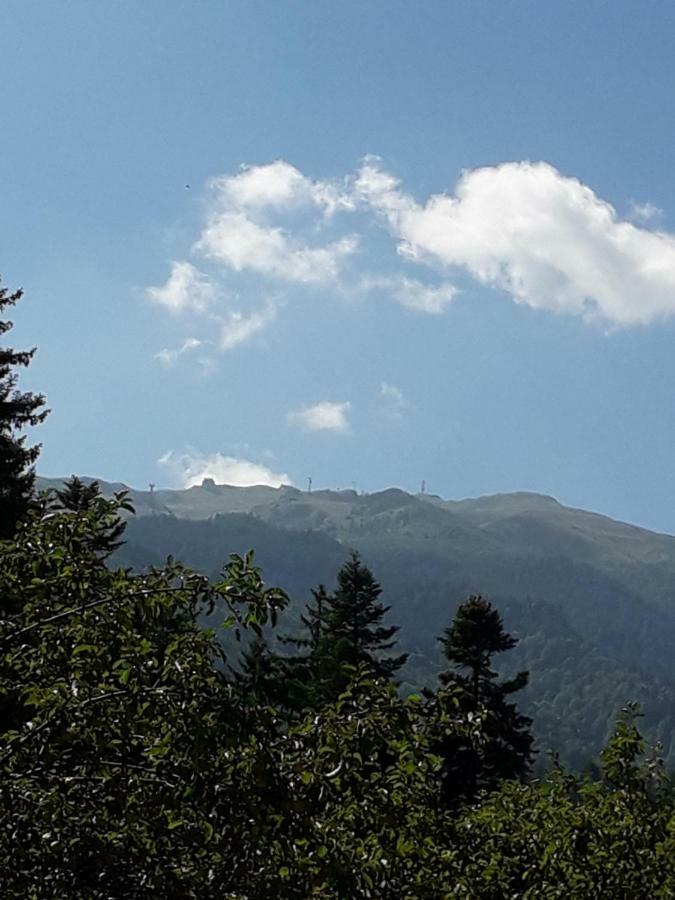 Lanobila Hotel Sinaia Exterior photo